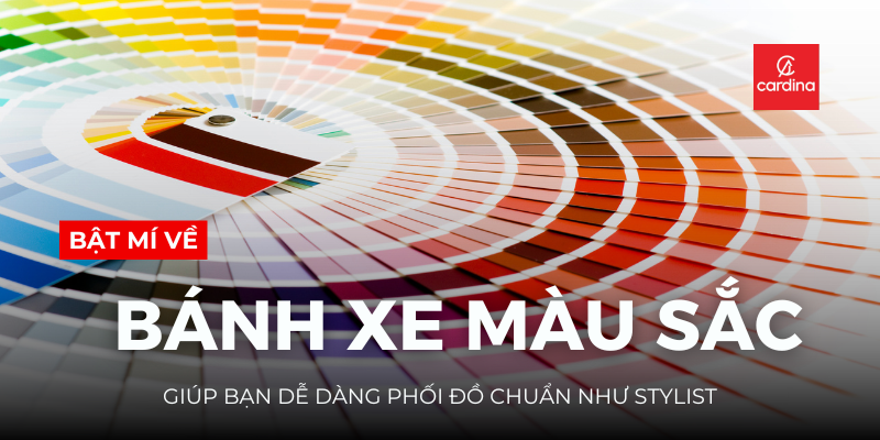Bánh xe màu sắc cơ bản và các nhóm màu chính giúp dễ dàng phối hợp màu cam
